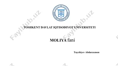 zamonaviiy (amaliy) moliyaviy tizim va moliyaviy oqimlar — PPTX
