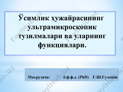ўсимлик ҳужайрасининг ультрамикроскопик тузилмалари ва уларнинг функциялари — PPTX