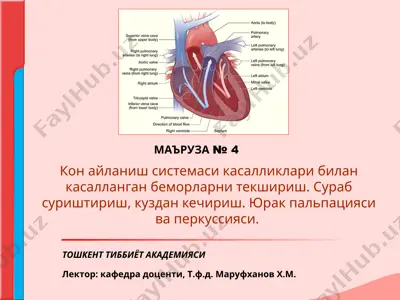 қон айланиш тизими касалликлари билан касалланган беморларни текшириш (маърўза №4) — PPT