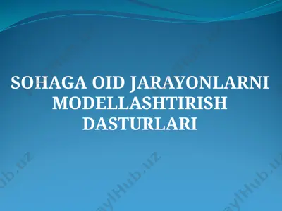sohaga oid jarayonlarni modellashtirish dasturlari — PPTX