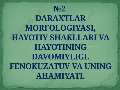 daraxatlar morfologiyasi, hayotiy shakllari va hayotining davomiyligi. fenokuzatuv va uning ahamiyati — PPTX