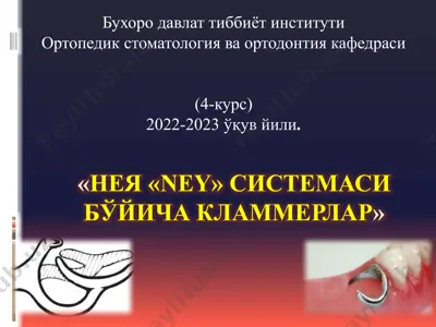нея «ney» системаси бўйича кламмерлар — PPT