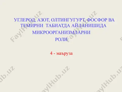 uglerod, azot, oltingugurt, fosfor va temirni tabiatda aylan­ishida mikroorganizmlarning roli (4-ma’ruza) — PPT