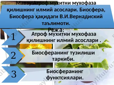 атроф муҳитни муҳофаза қилишнинг илмий асослари (биосфера ва в.и.вернадский таълимоти) — PPTX