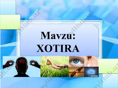 xotira — PPTX