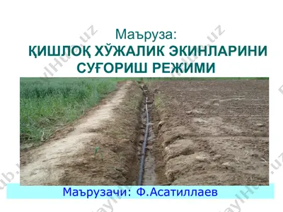 qishloq xo‘jalik ekinlarini sug‘orish rejimi — PPT