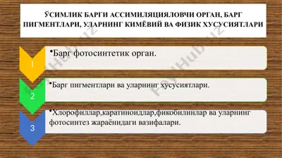 баргнинг тузилиши ва хлоропласт пигментлари — PPTX