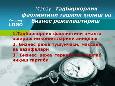 тадбиркорлик фаолиятини ташкил қилиш ва бизнес режалаштириш — PPTX