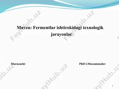 fermentlar ishtirokidagi texnologik jarayonlar — PPTX