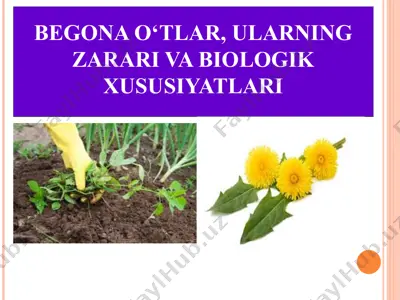 begona o‘tlar, ularning zarari va biologik xususiyatlari — PPT