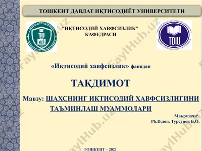 shaxsning iqtisodiy xavfsizligini ta’minlash muammolari — PPTX