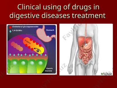 clinical using of drugs in digestive diseases treatment — PPT