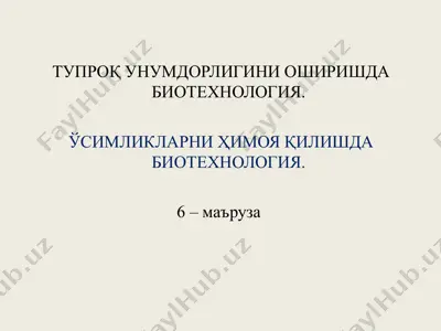 tuproq unumdorligini oshirishda biotexnologiya (6-ma’ruza) — PPT