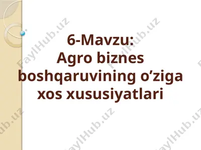 agro biznes boshqaruvining o’ziga xos xususiyatlari — PPTX