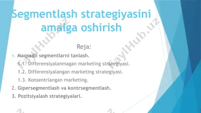 segmentlash strategiyasini amalga oshirish — PPTX