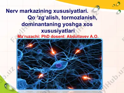 nerv markazining xususiyatlari: qo‘zg‘alish, tormozlanish, dominantaning yoshga xos xususiyatlari — PPT