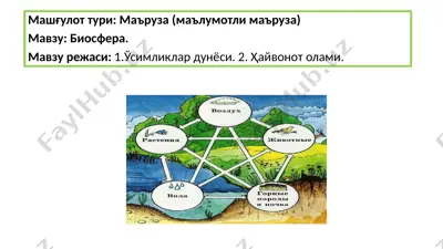 biosfera — PPTX