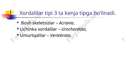 xordalilar tipining tafsiloti va qushlarning hayot kechirishi — PPT