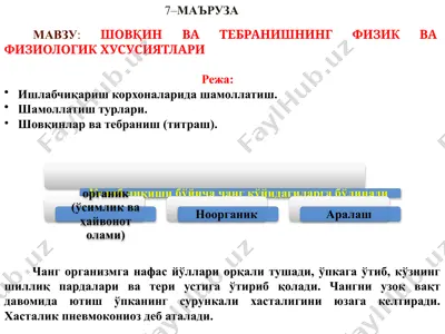 shovqin va tebranishning fizik va fiziologik xususiyatlari (7-ma’ruza) — PPTX