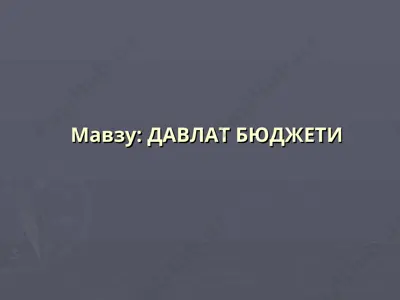 davlat byudjeti — PPT