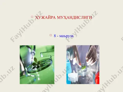 ҳужайра муҳандислиги — PPT