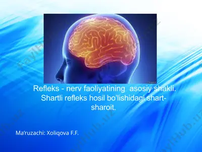 refleks – nerv faoliyatining asosiy shakli — PPTX