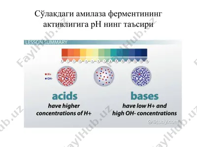 сўлакдаги амилаза ферментининг активлигига рн нинг таъсири — PPTX