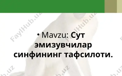 сут эмизувчилар синфининг тафсилоти — PPTX