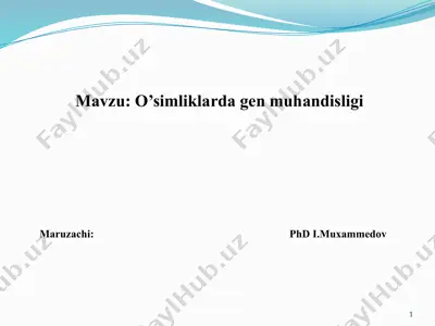 o’simliklarda gen muhandisligi — PPTX