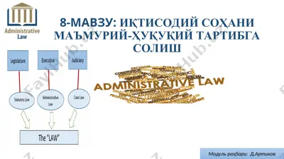 иқтисодий соҳани маъмурий-ҳуқуқий тартибга солиш — PPT