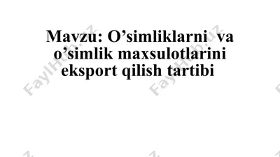 o’simliklarni va o’simlik maxsulotlarini eksport qilish tartibi — PPTX