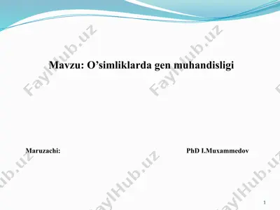 o’simliklarda gen muhandisligi — PPTX
