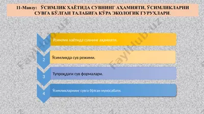 ўсимлик ҳаётида сувнинг аҳамияти ва сувга бўлган талабга кўра экологик гуруҳлар — PPTX