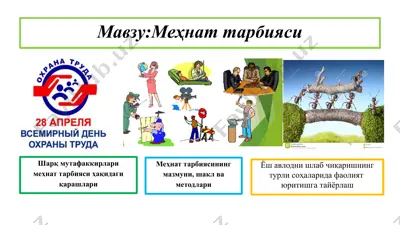 меҳнат тарбияси — PPTX