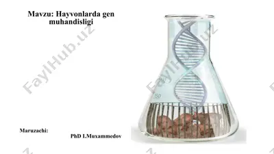 hayvonlarda gen muhandisligi — PPTX