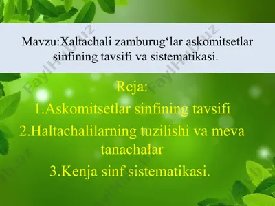 xaltachali zamburug‘lar: askomitsetlar sinfining tavsifi va sistematikasi — PPT
