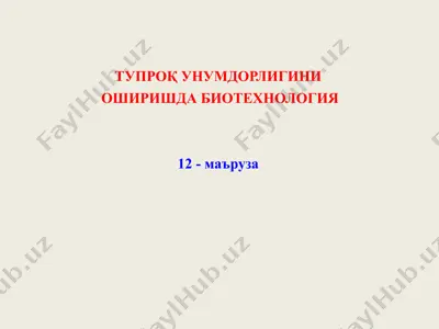 tuproq unumdorligini oshirishda biotexnologiya (12-ma’ruza) — PPT
