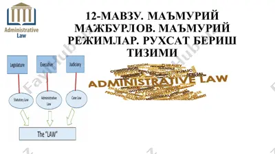 maʼmuriy majburiylov, maʼmuriy rejimlar va ruxsat berish tizimi — PPT