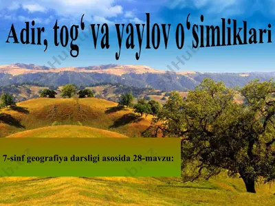 o‘rta osiyo adir, tog‘ va yaylov o‘simliklari 7-sinf — PPT