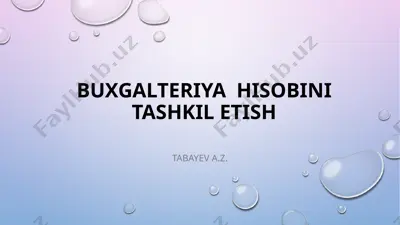 buxgalteriya hisobini tashkil etish — PPTX