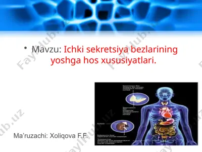 ichki sekretsiya bezlarining yoshga xos xususiyatlari — PPTX