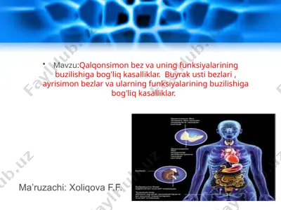 ichki sekretsiya bezlari: qalqonsimon, buyrak usti va ayrisimon bezlar funksiyalari va kasalliklari — PPTX