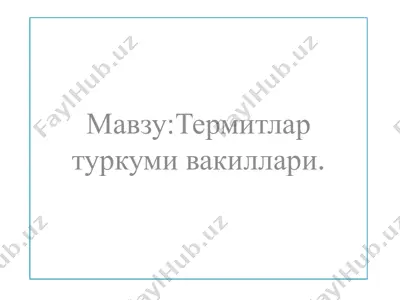 termitlar turkumi vakillari — PPTX