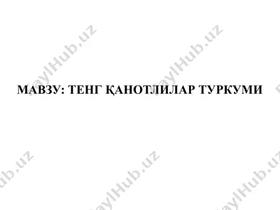 тенг қанотлилар туркуми — PPTX