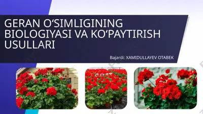 geran o‘simligining biologiyasi va ko‘paytirish usullari — PPTX