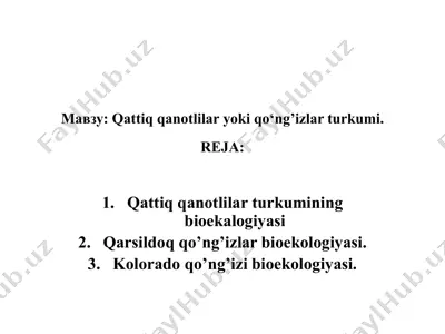 qattiq qanotlilar yoki qo‘ng’izlar turkumi — PPTX