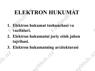 elektron hukumat — PPTX