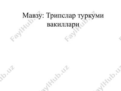 трипслар туркуми вакиллари — PPTX