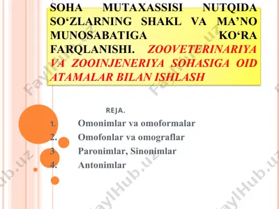 omonimlar va so‘zlarning aloqadorlik turlari — PPT