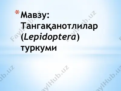 tanga qanotlilar (lepidoptera) turkumi — PPTX